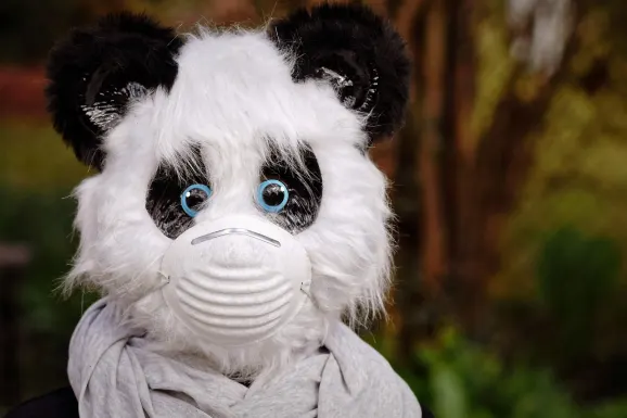 Thunderbolt Kasyno Wsparcie